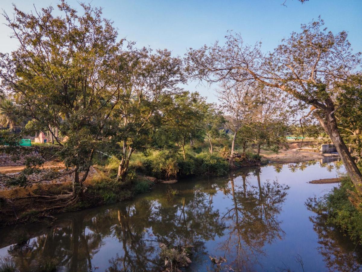 Fortune River Resort Dandeli Eksteriør billede