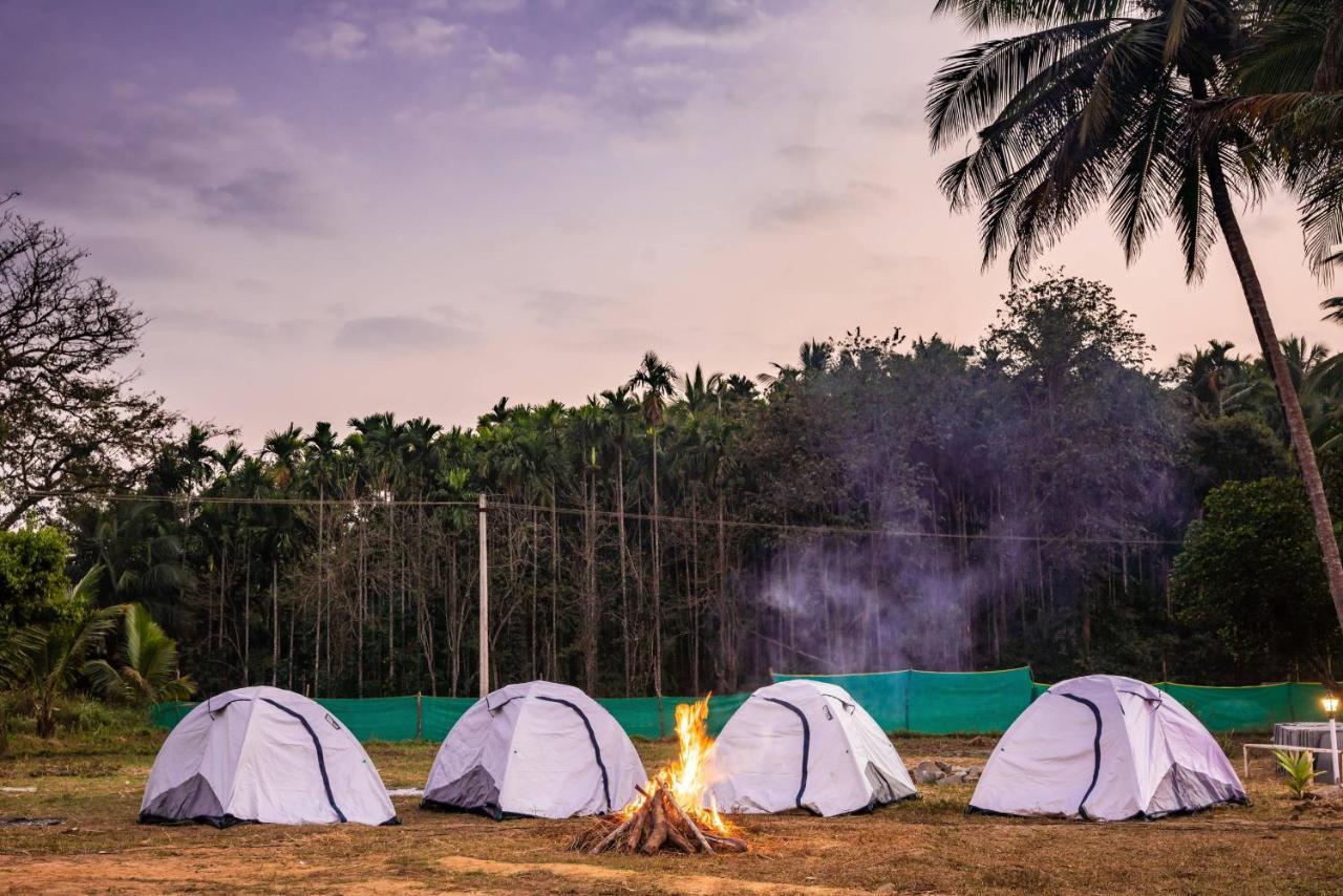 Fortune River Resort Dandeli Eksteriør billede